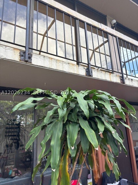 Building Photo - 3190 Bird 15