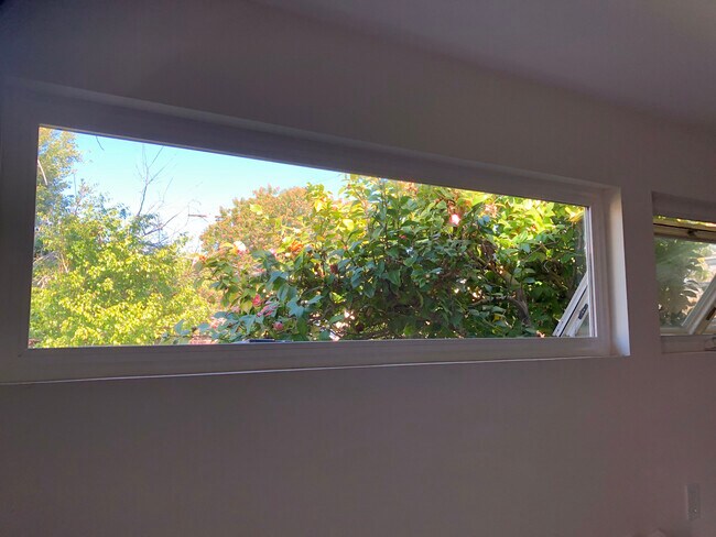 Garden view from the kitchen - 4360 Stewart Ave