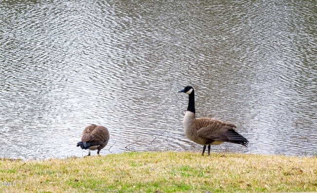Building Photo - 2816 Piedmont River Way