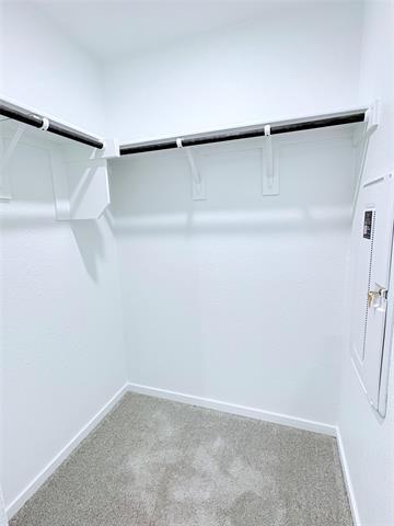 Building Photo - 731 Wagtail Dr