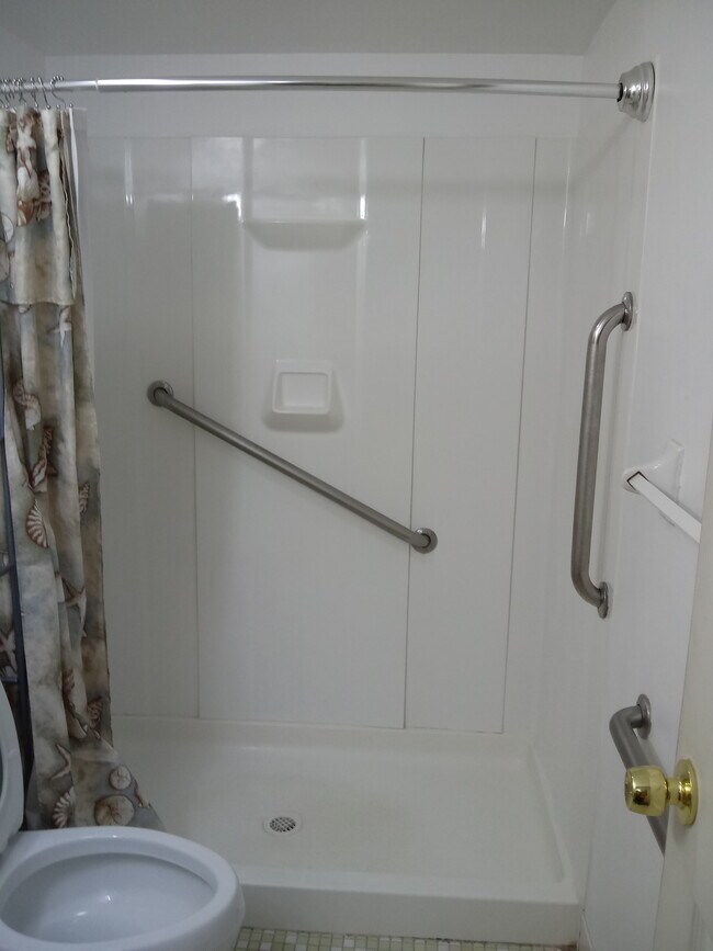 Shower with safety features - 813 Meadow Woods Ln