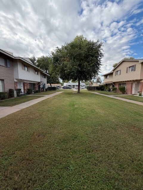 Front Yard - 4595 N 17th Ave