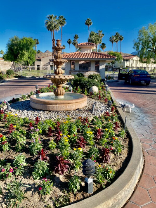 Building Photo - 4901 E Mesquite Ave