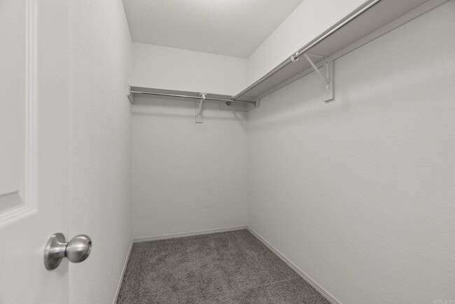 Building Photo - 10313 Brandi Kay Dr
