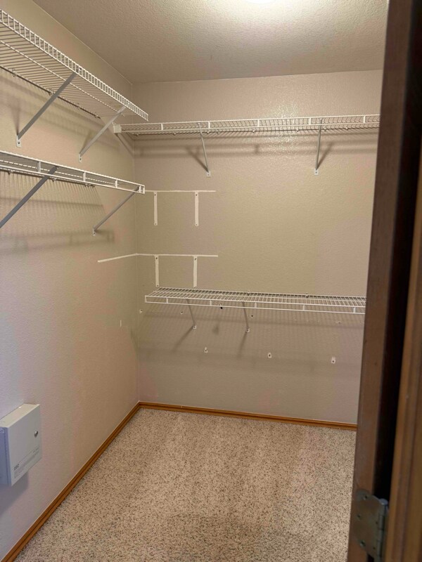 Building Photo - 9302 Wolfe Dr