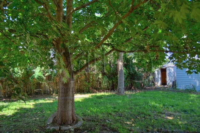 Building Photo - Shadle Area Rancher