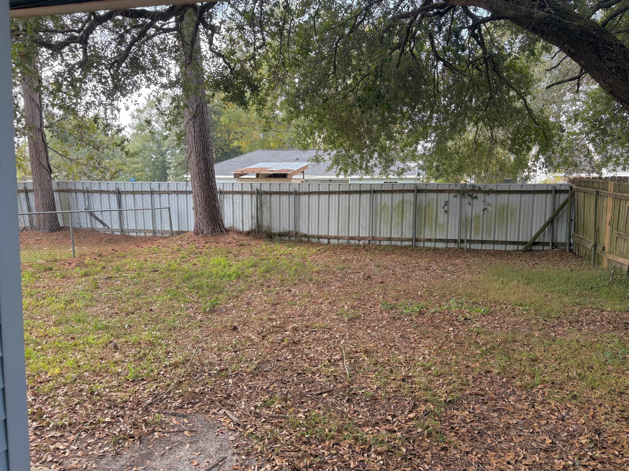 Building Photo - 1601 Live Oak St