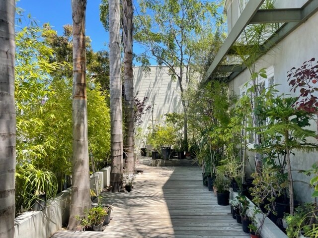 Bamboo, Palms, and Boardwalk Deck - 12114 Ohio Ave