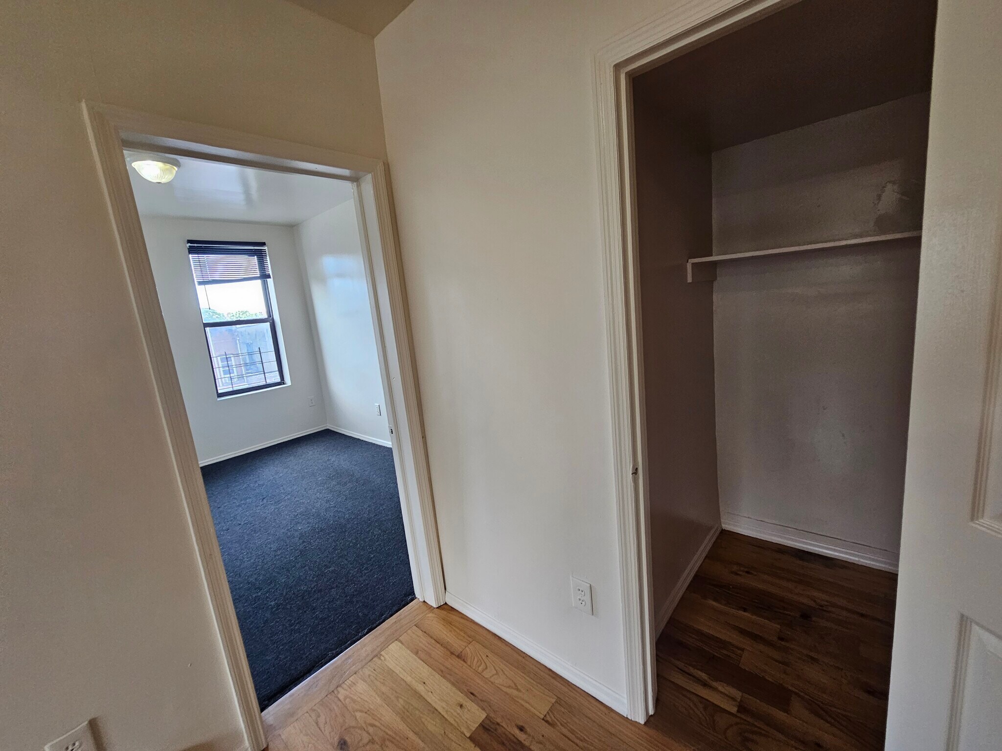 Building Photo - 1167 Willmohr St