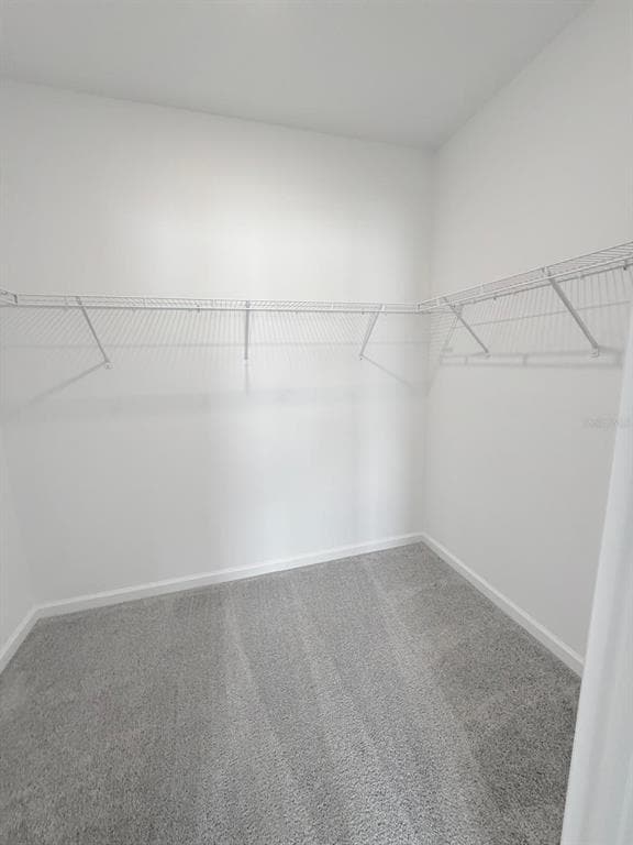 Building Photo - 2747 Skyline Lp