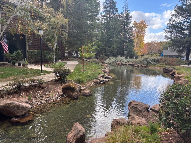 Building Photo - Almaden/Blossom Valley- charming 2- bedroo...