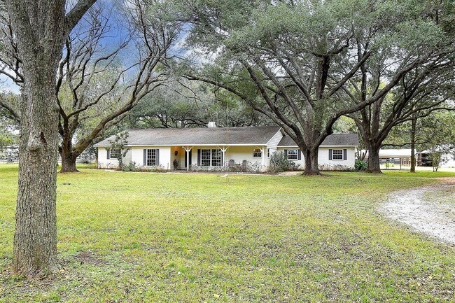 Primary Photo - 34122 Pecan Hill Dr