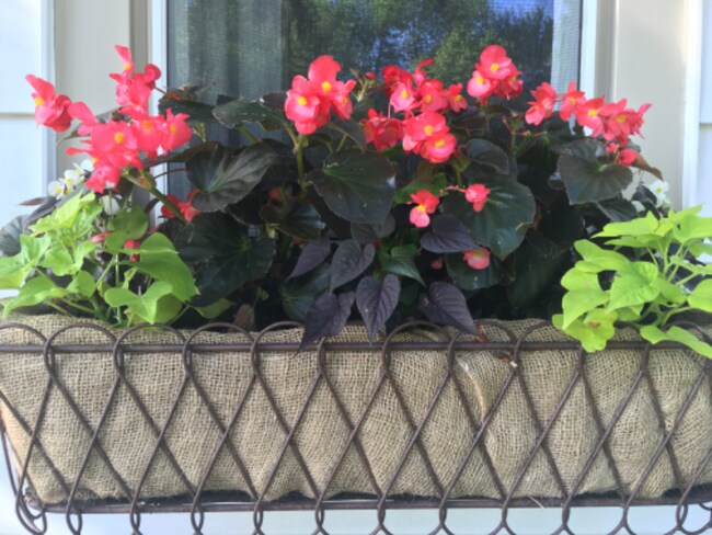 Building Photo - 634 E 5th Ave