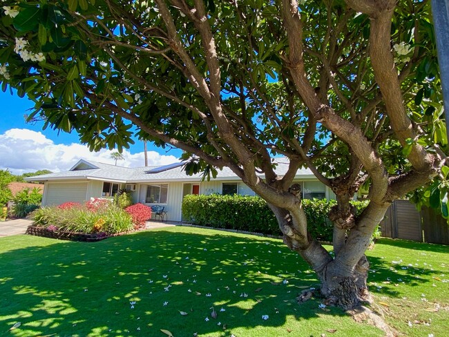 Primary Photo - Amazing Furnished Home near South Maui Bea...