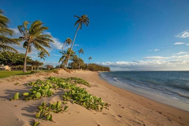 Building Photo - Maui Sunset Condo!! LOCATION, LOCATION, LOCATION!!