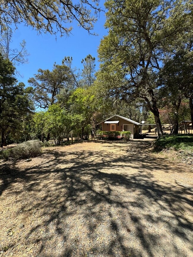 Building Photo - Cute Cottage just outside Nevada City- Pea...