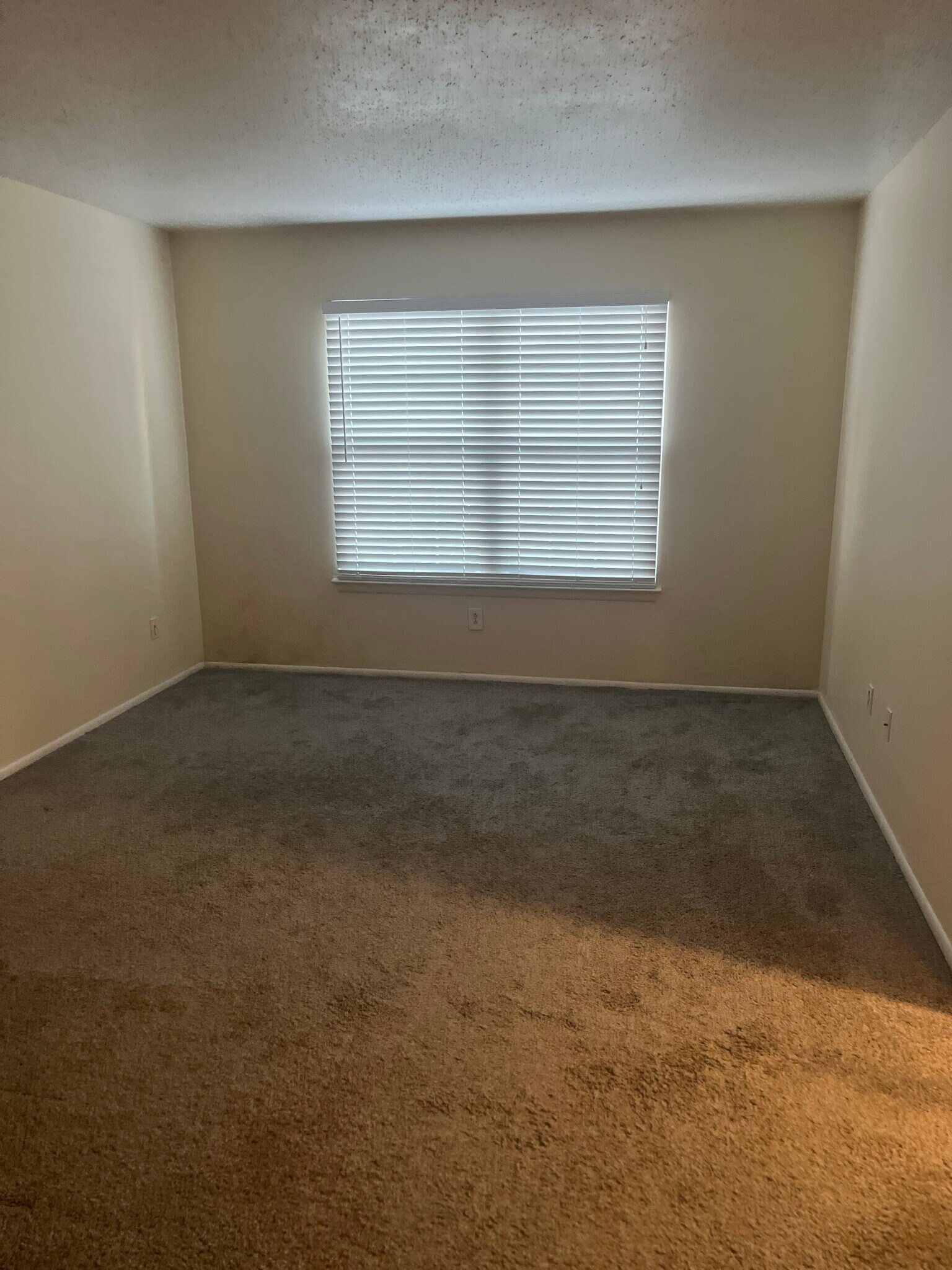 Building Photo - 308 Thalia Station Ct