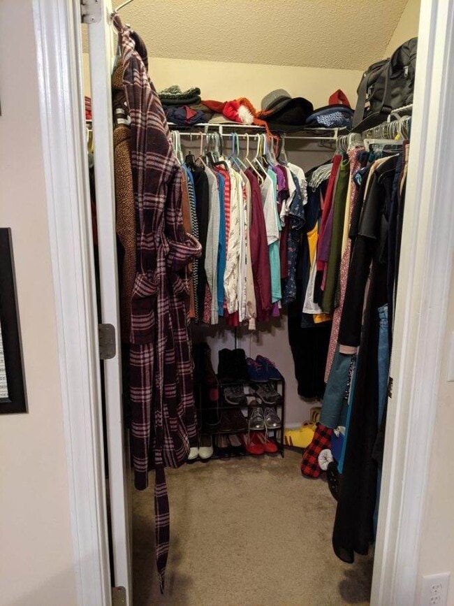 Building Photo - 209 Bridgewater Cir