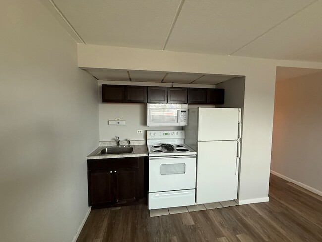 Building Photo - 1128 Des Plaines Ave