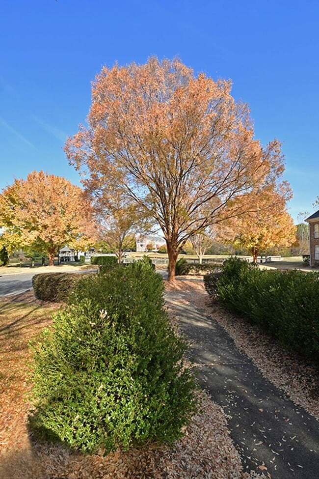 Building Photo - 8643 Beaver Creek Dr