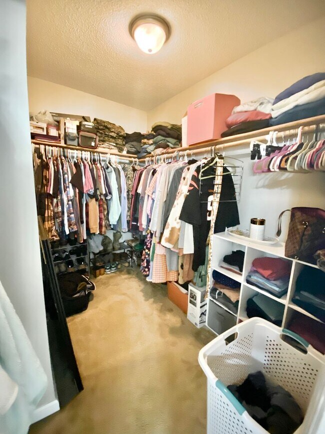 Building Photo - Beautiful 4 Bedroom Richlands Home for Rent