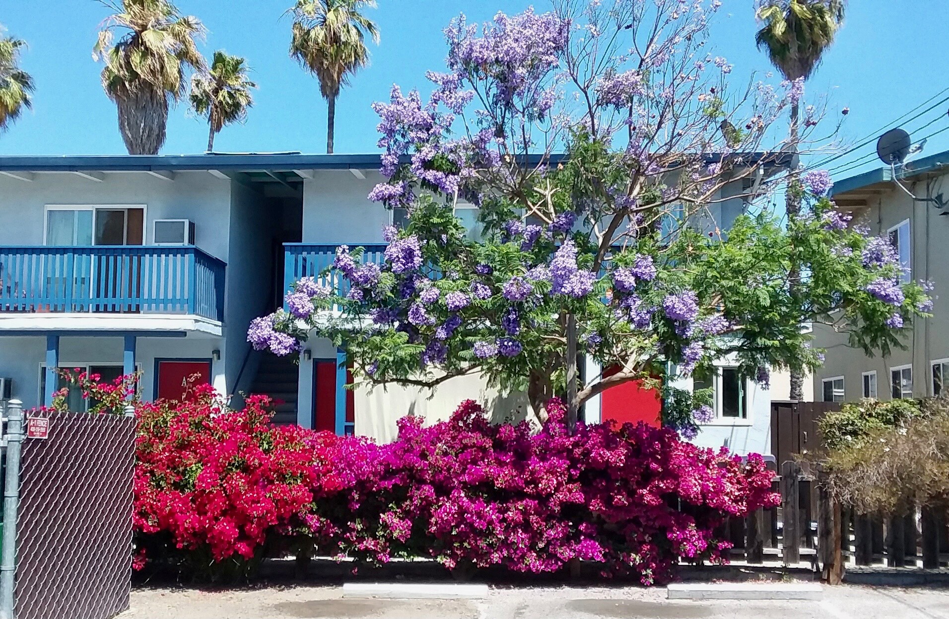 Building Photo - 907 Sharmon Palms Ln
