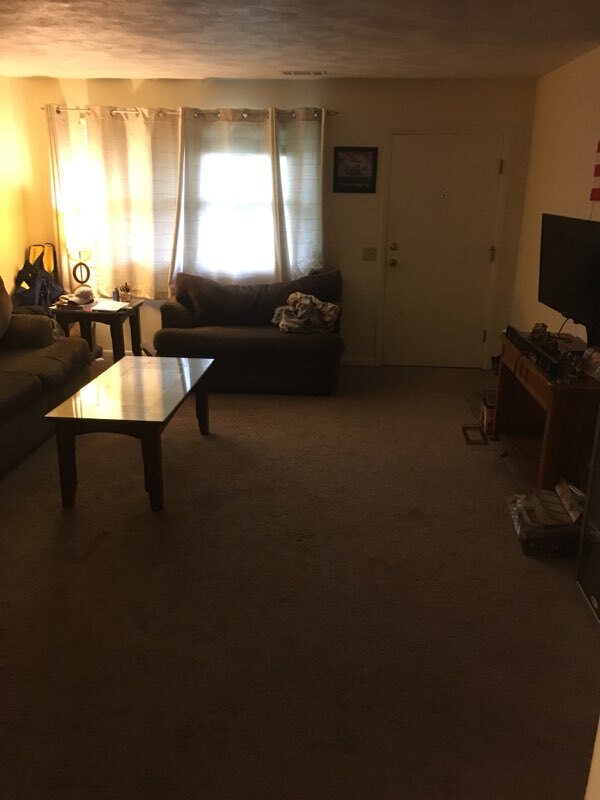 Furnished living room - 700 N Cory St