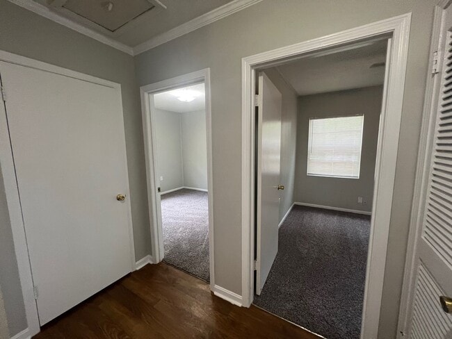 Building Photo - 3 bedroom 1 bathroom in Northport