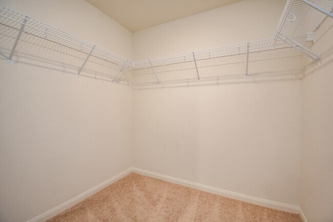 Building Photo - 405 Texas Olive Dr