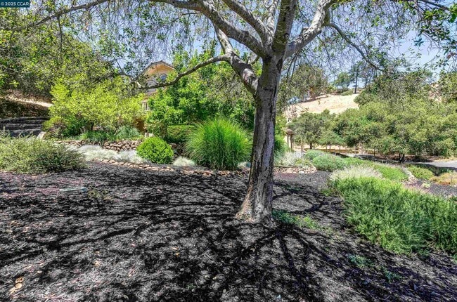 Building Photo - 3434 Woodview Dr