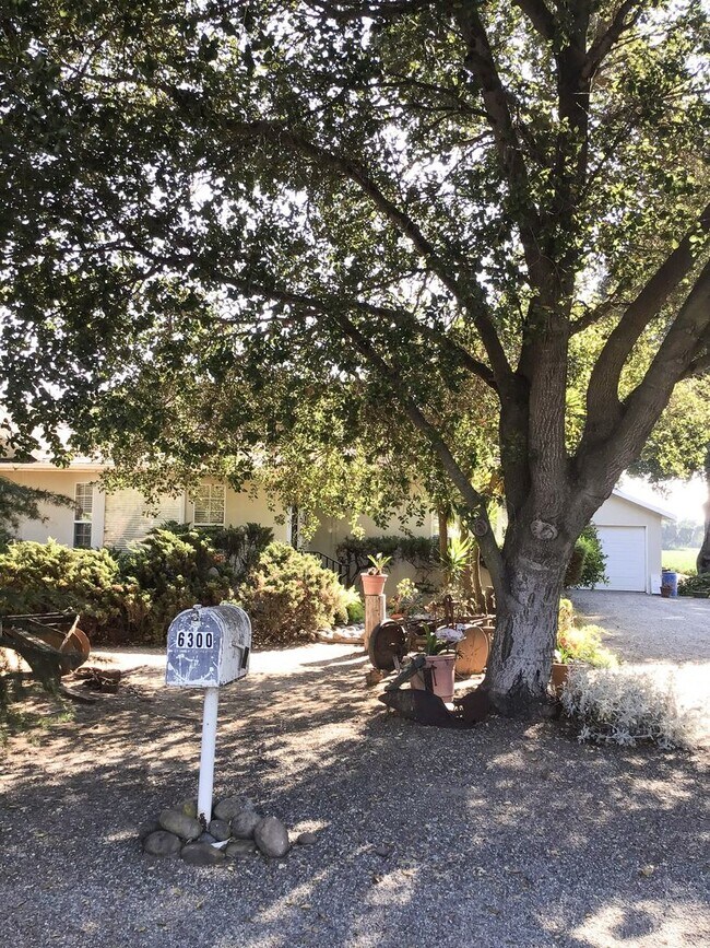 Building Photo - 3 Bedroom Home in Gilroy