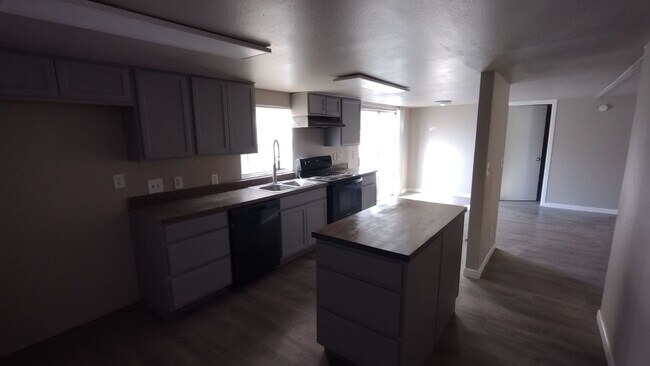 Building Photo - Large 4 Bedroom 2 Bath Home in Granbury - Indian Harbor