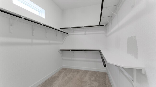 Building Photo - 15607 Rising Wren Ct