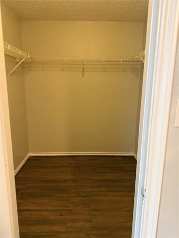 Building Photo - 3015 Flask Dr