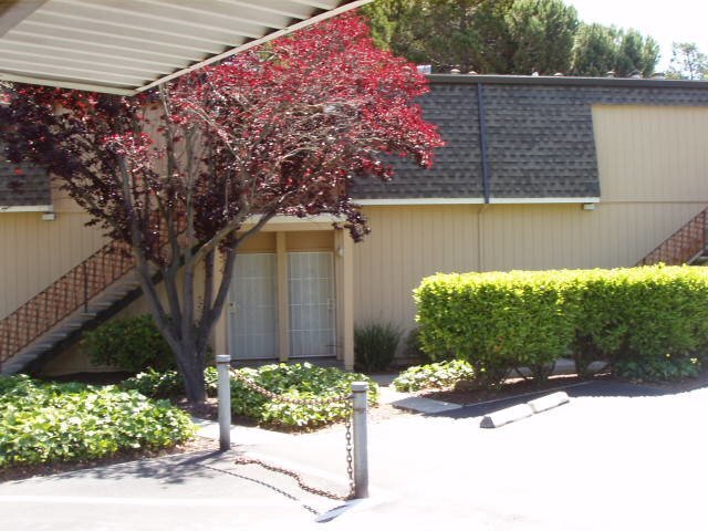 Building Photo - Vallejo Studio available for rent in excellent location over looking Dan Foley Park