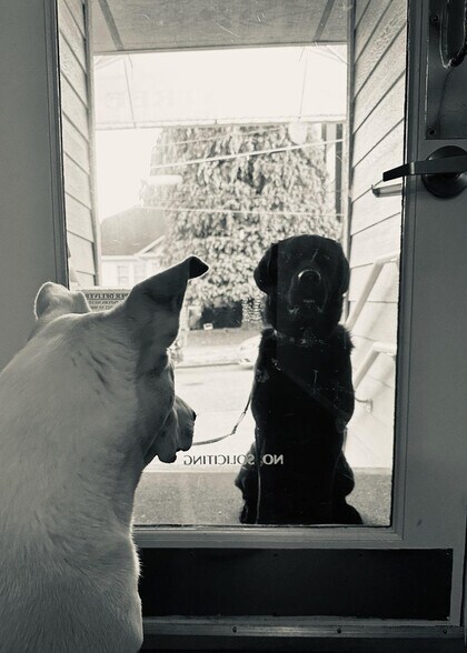 Meeting the new tenant - 7100 Greenwood Ave N