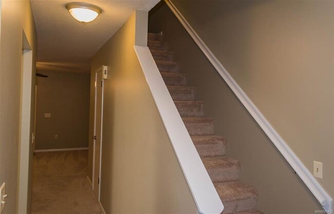 Building Photo - 131 Candlebrook Dr