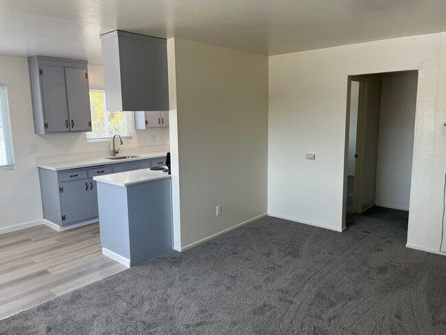 Building Photo - Spacious, Newly Remodeled, One Bedroom apartment