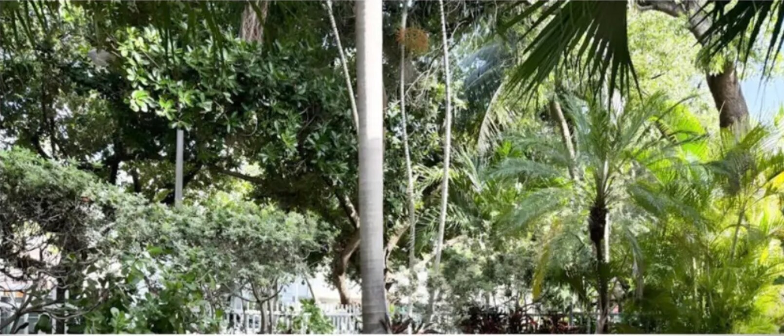 Building Photo - 817 Meridian Ave