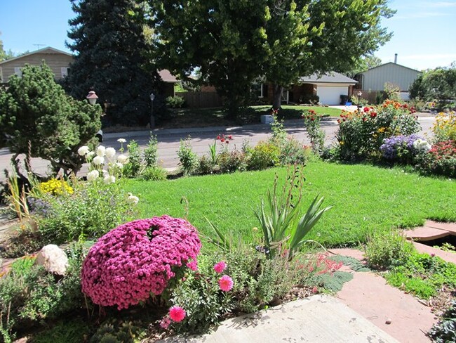 flag stone pathways through the garden make for easy access to lawn area. - 28 James Circle