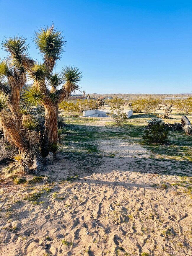 Building Photo - Gorgeous 3 bd, 2.5 ba on 1 acre