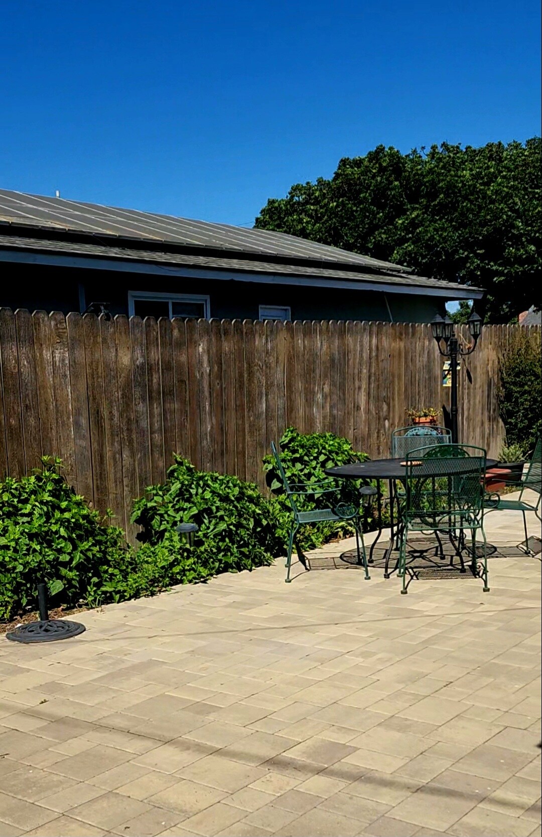 Backyard - 1393 Coventry Ave