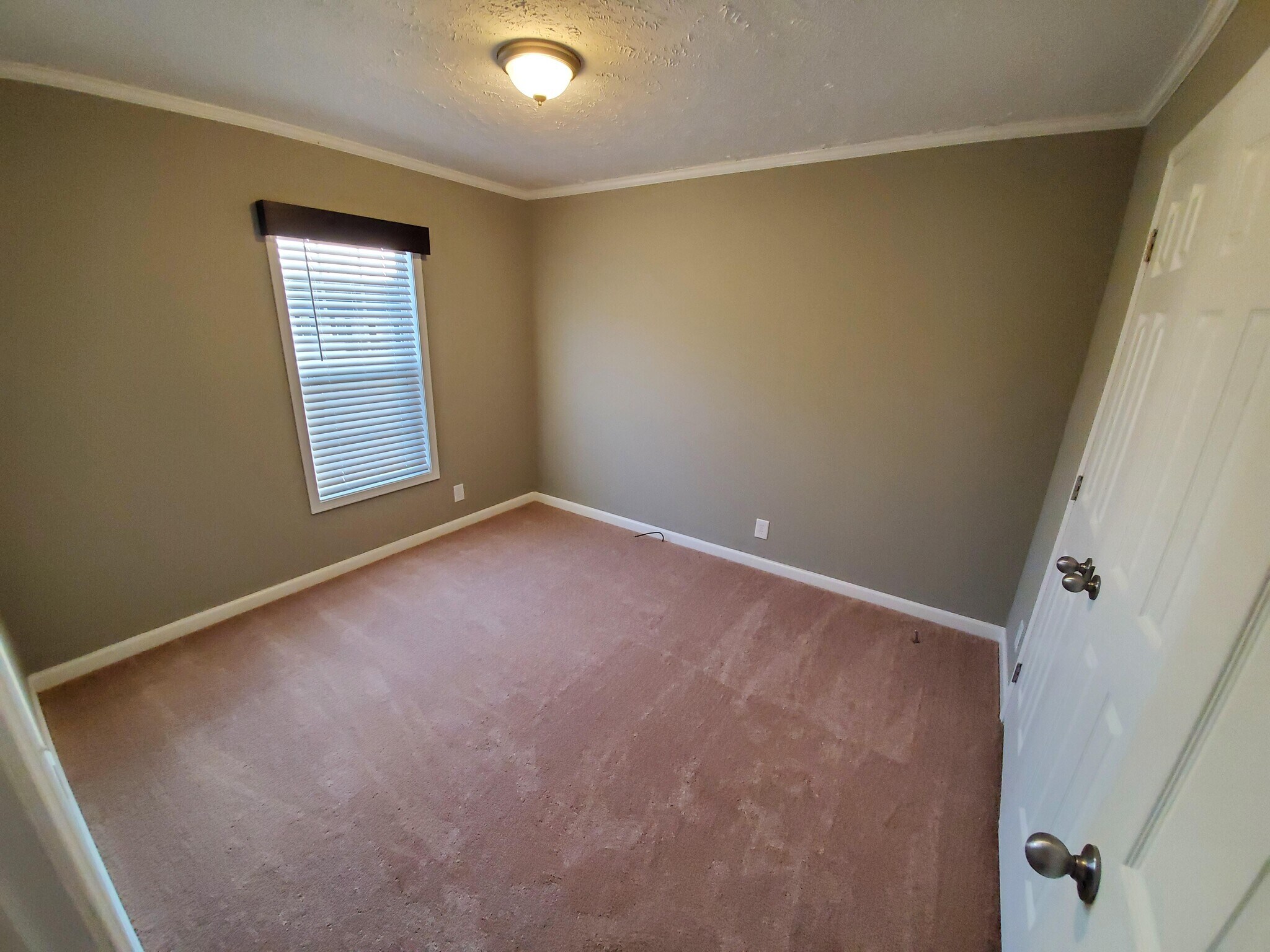Building Photo - 209 Hickory Ct