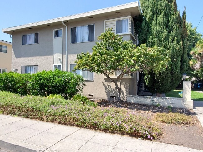 Primary Photo - Deborah