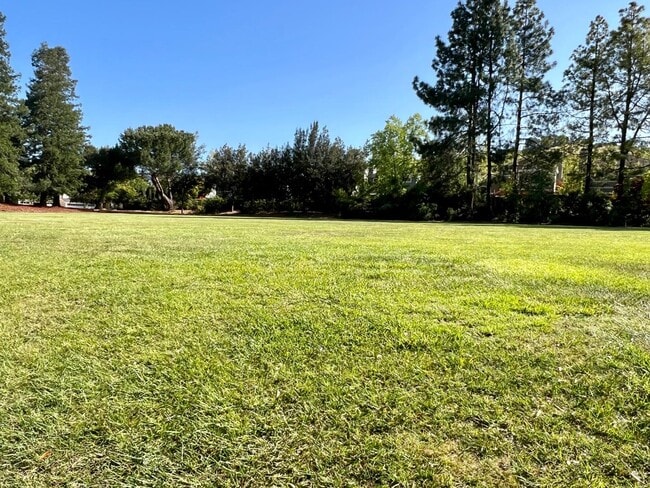 Building Photo - 11688 Olive Spring Ct