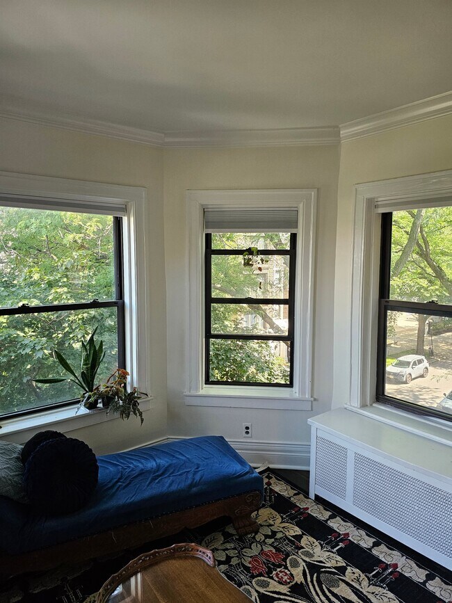 Building Photo - 539 W Brompton Ave