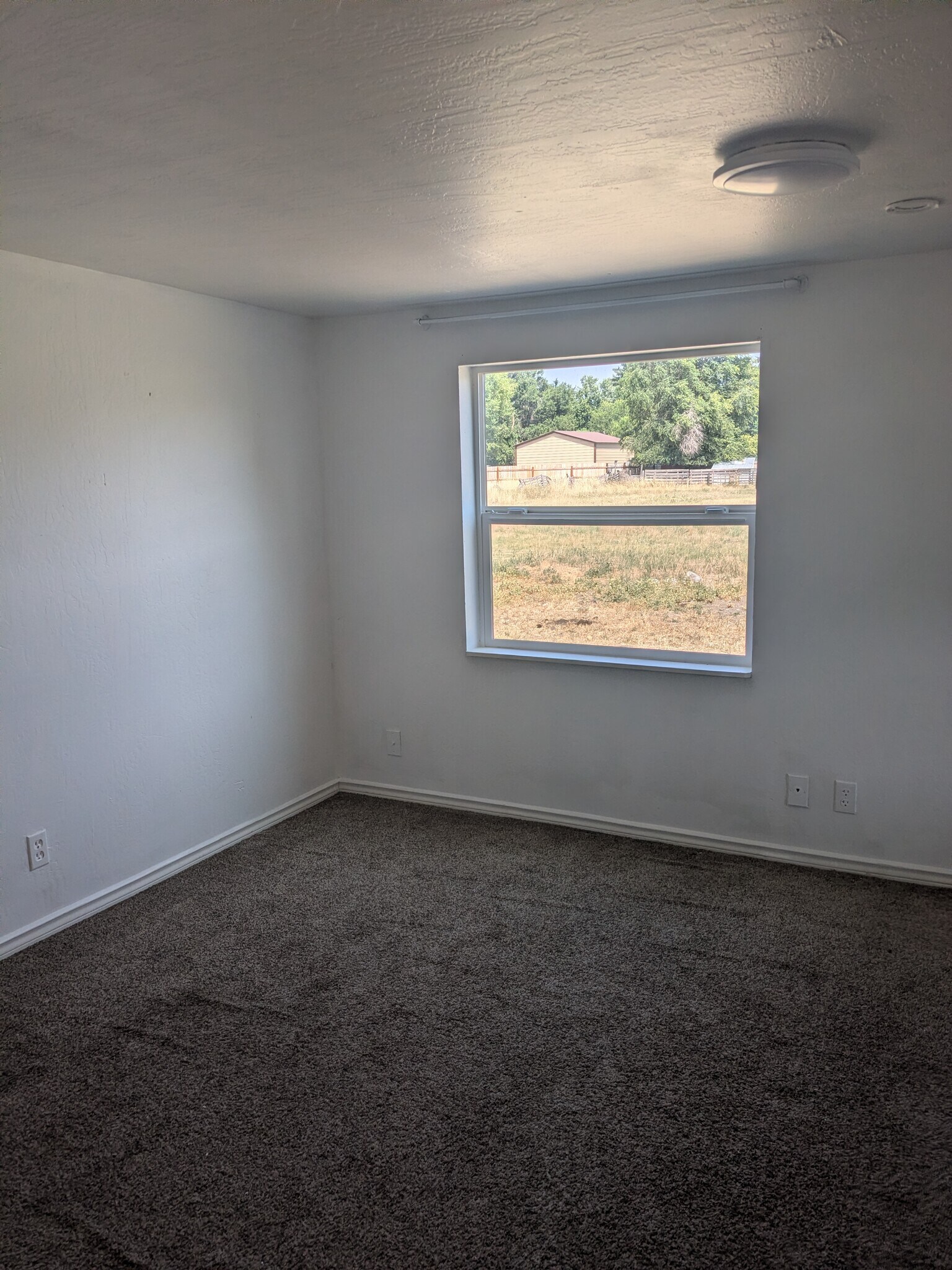Building Photo - 3917 Altamont Dr