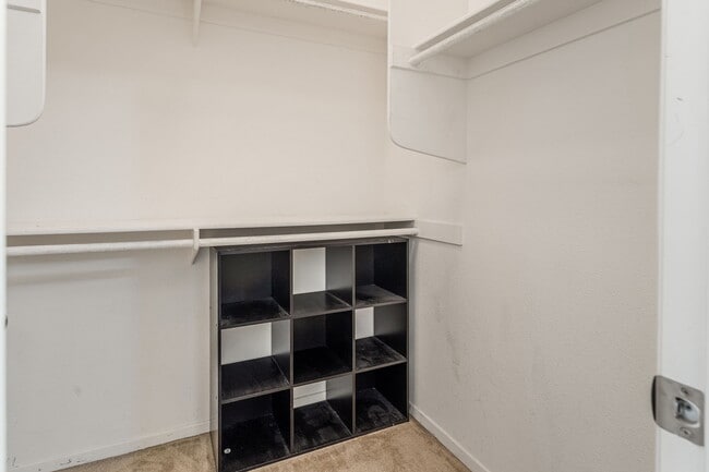 Building Photo - 1429 Caminito Sardinia