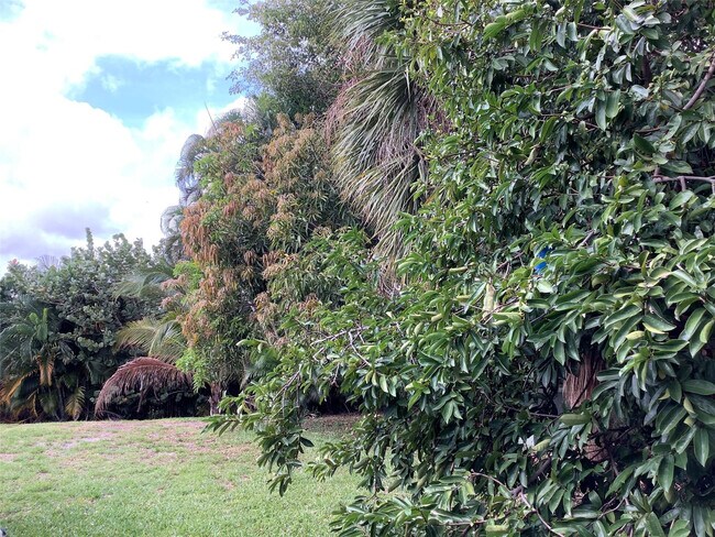 Building Photo - 4481 NW 1st Terrace