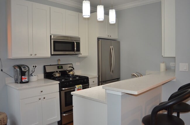 Building Photo - Luxury  3 bedroom duplex in Lakeview  www.CedarRealty.com